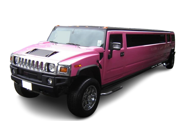 Tamworth Pink Hummer