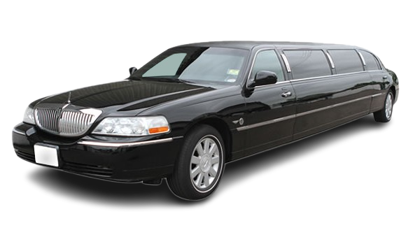 Tamworth black lincoln